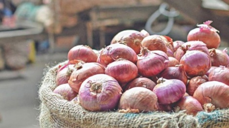 onion_8