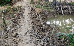 received_2192650601040733