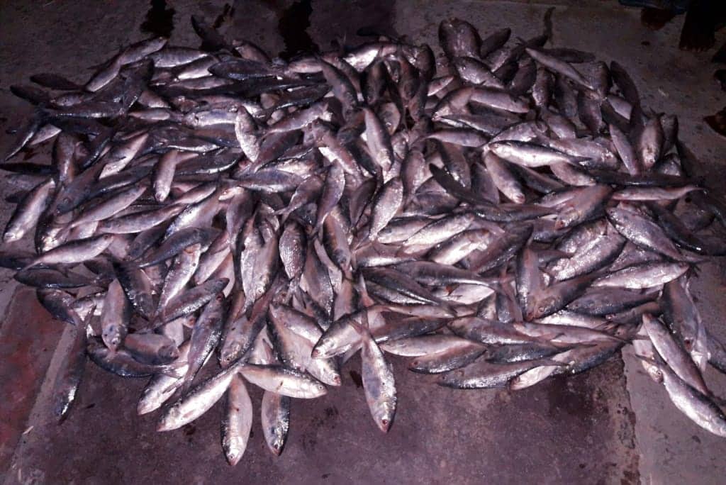 received_506797523254538