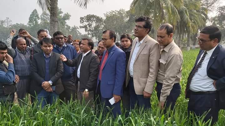 ঠাকৃরগাঁও নিউজ