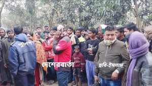 Thakurgaon Baliadangi murder pic-1