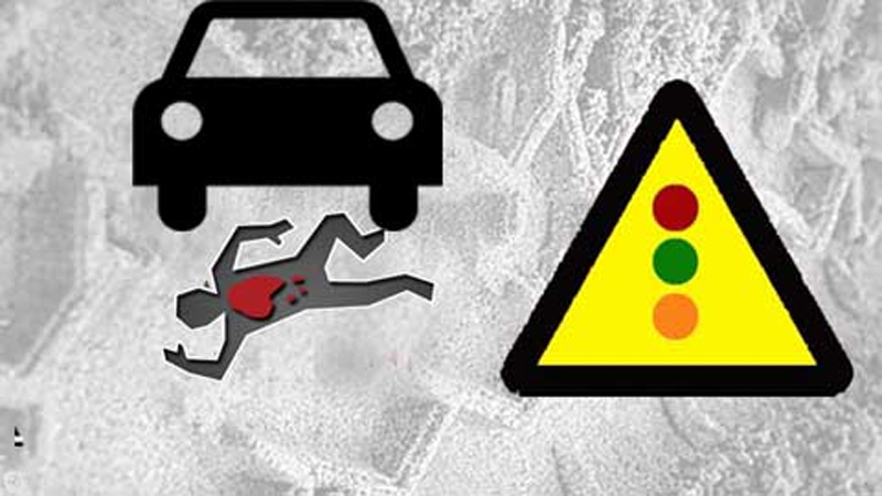 road_crash-2019-09-05-11-17-31