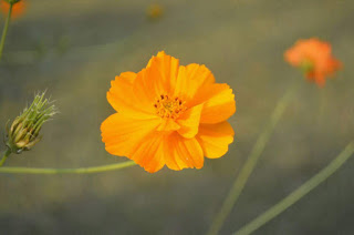 received_803034336550199