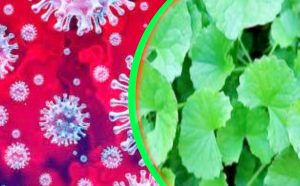 muradnagar comilla 19-03-2020 pc