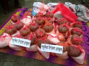 93117837_1880826168709382_1501558658746548224_n