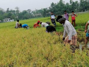 received_1352932808236391