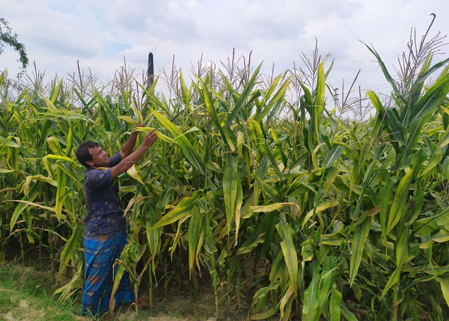 01052020155704Untitled-2copy