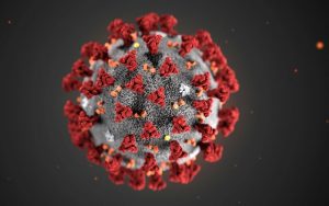 2019-novel-coronavirus-02