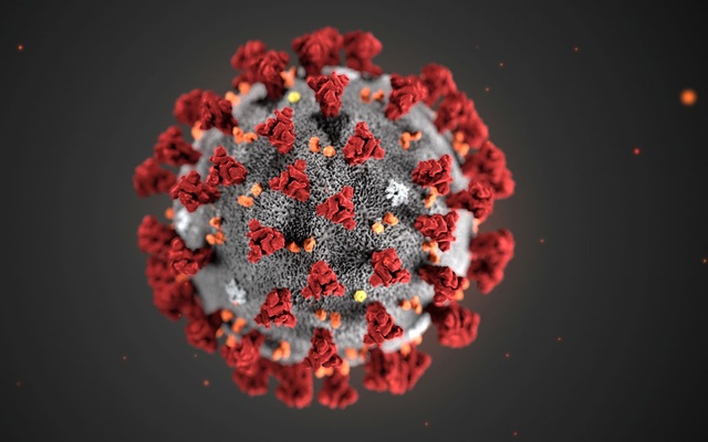 2019-novel-coronavirus-02