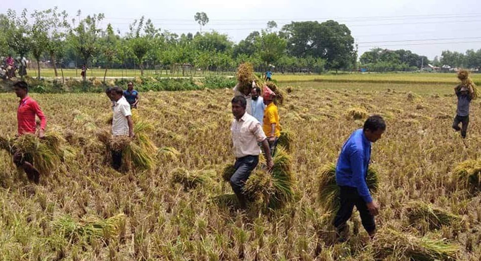 sundorgonj krishokparty