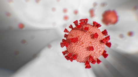 coronavirus_59