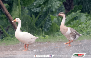 prothomalo-bangla_2020-09_52d7e2f1-6d13-4df3-b7aa-9d969a6cb0b6_6