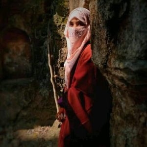 inbound5691802993459493249