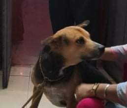 received_960936278021941