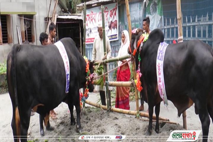 ২০ লাখে 'নবাব দম্পতি'