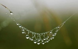 FB_IMG_1626801351236