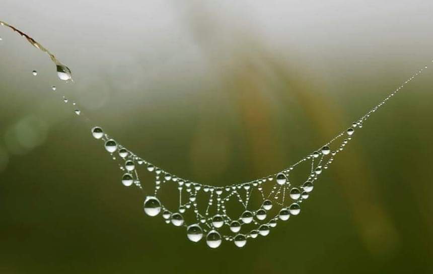 FB_IMG_1626801351236