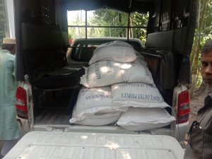 inbound3939978575185267429