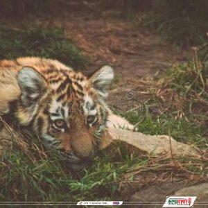 inbound1808732042445298704