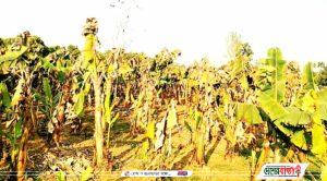 Notes_220320_135748_f39