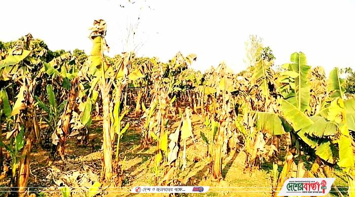 Notes_220320_135748_f39