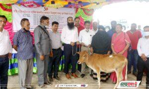 inbound3706767693433562264