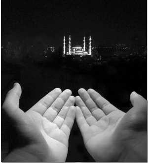 inbound5769407968303938917