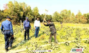 received_326402399507102