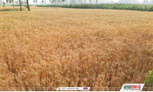 received_4957008431057598