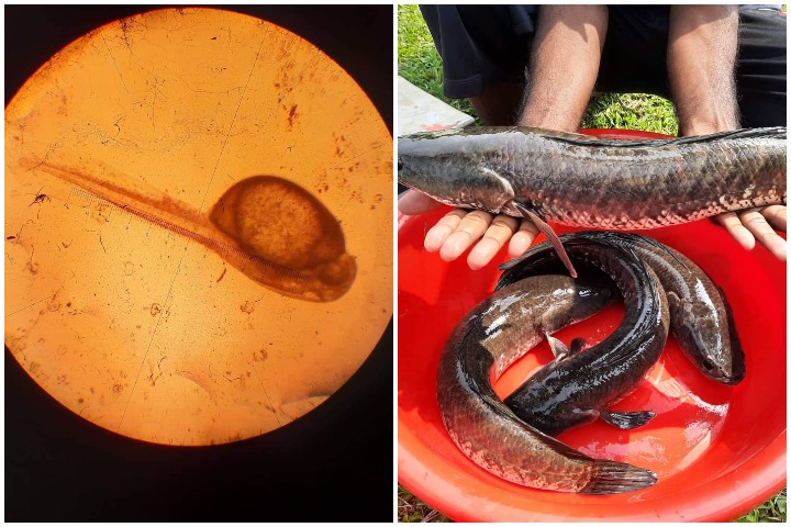 image-175465-1651046999