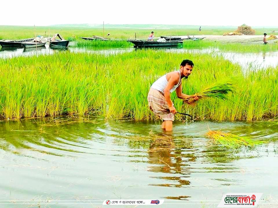 received_1641425896192276