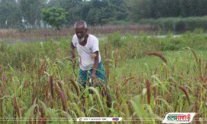 received_407837994100232