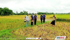 received_493014292561254