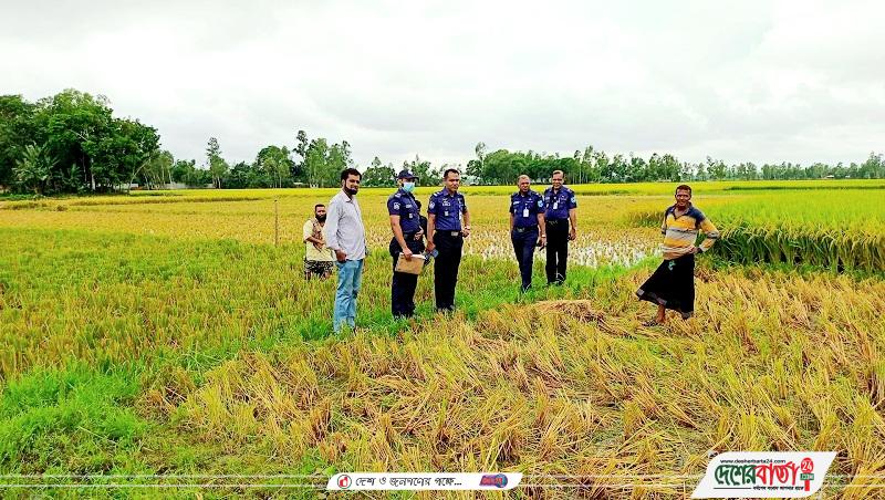 received_493014292561254