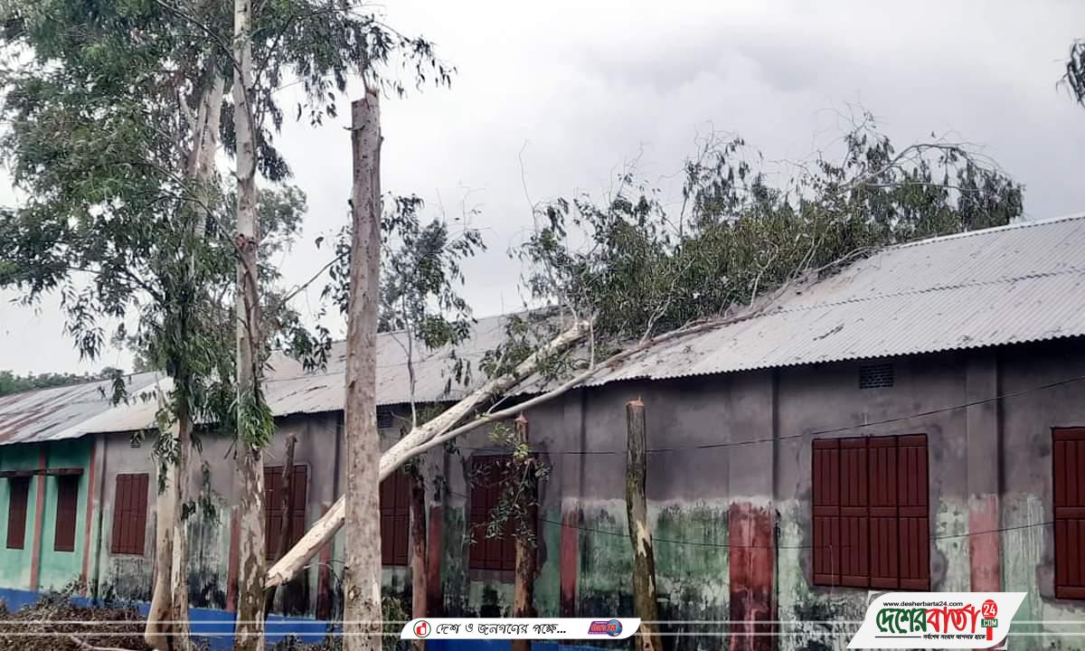 received_543618033828072