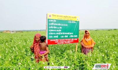 teel-as-20220526084604